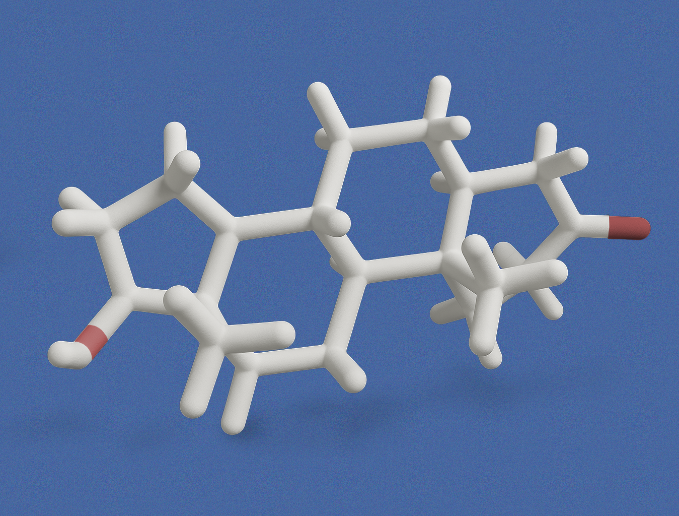 What is Androgen Receptor Sensitivity Testing and Why it Matters