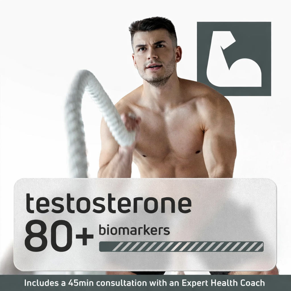 Testosterone Panel (Pre-TRT)