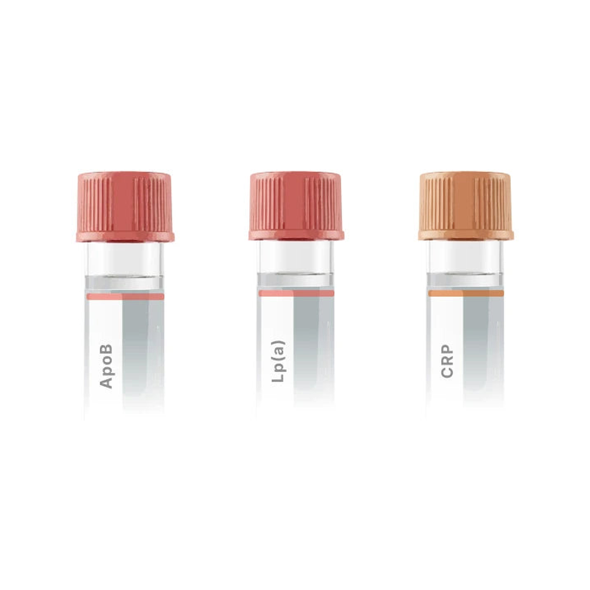 Lipid Panel Extension