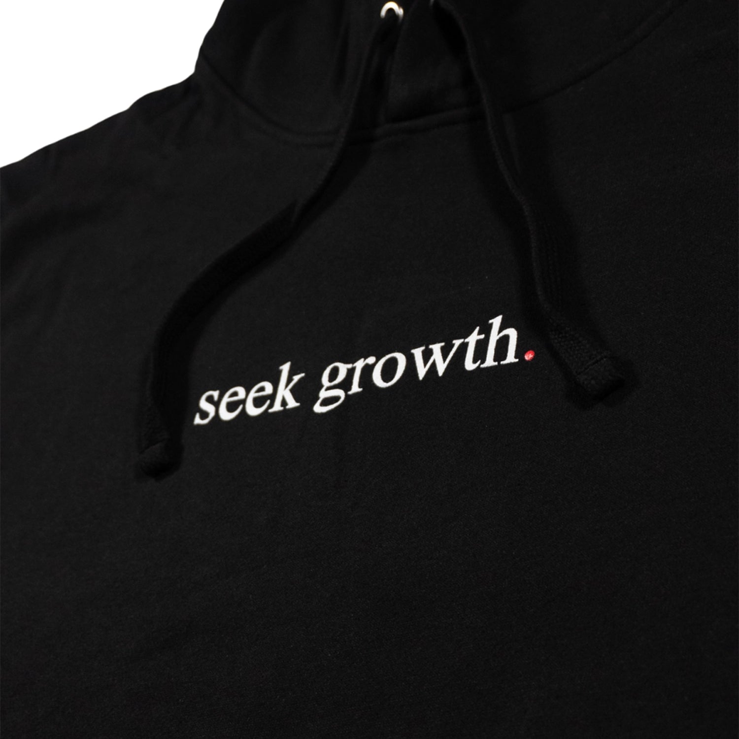 Seek Growth Hoodie