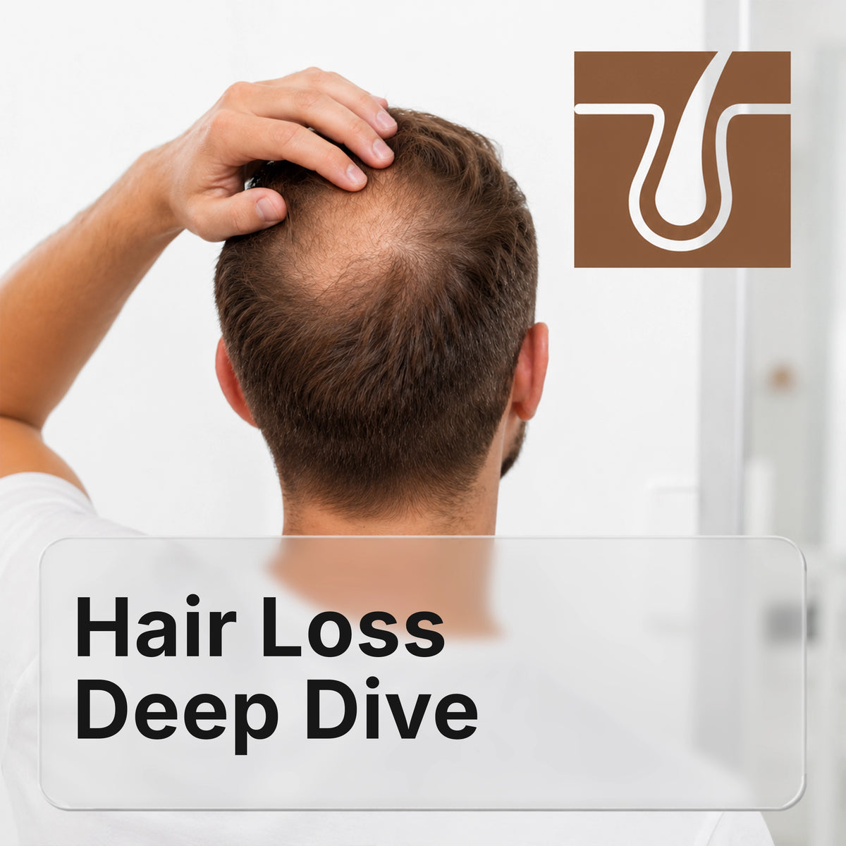Hair Loss Deep Dive